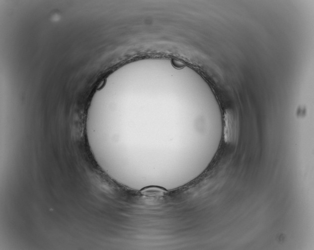 X0000101981491200808011047