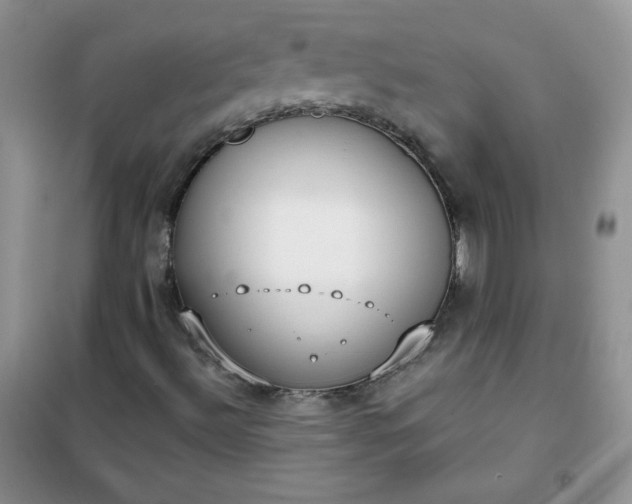 X0000101981492200808011047