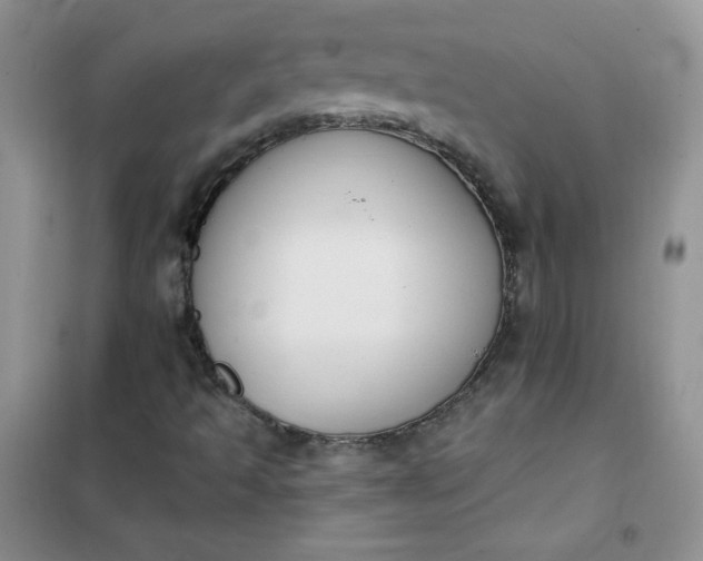 X0000101981493200808011047