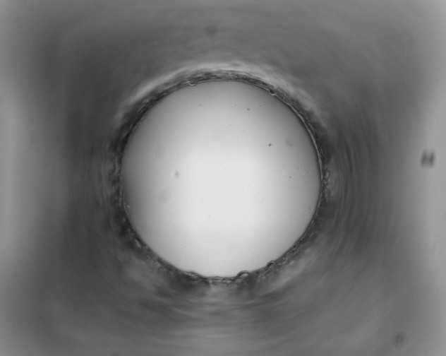 X0000101981494200808011047