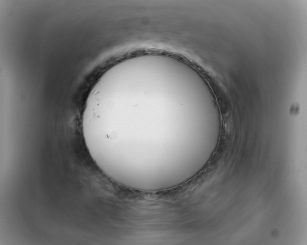 X0000101981495200808011047