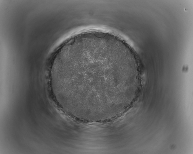 X0000101981496200808011047