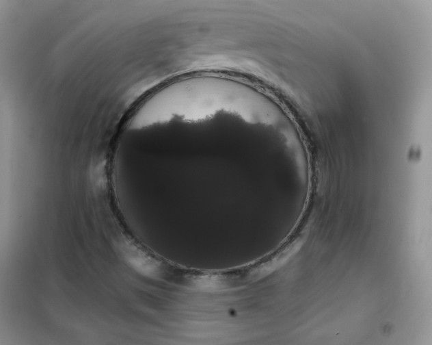 X0000101981497200808011047