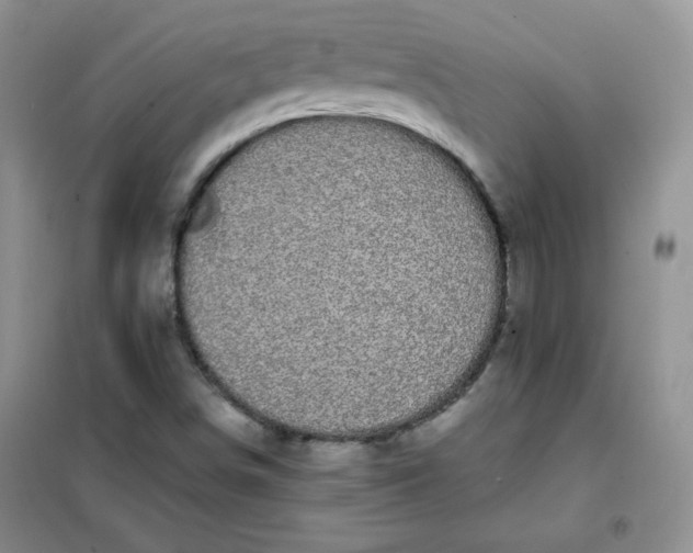 X0000101981498200808011047