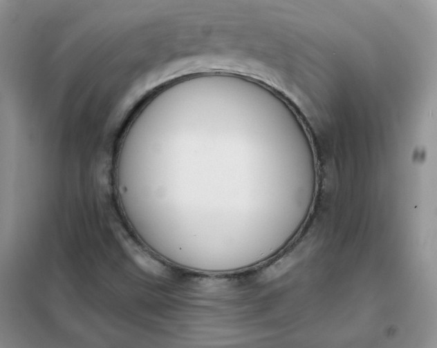 X0000101981499200808011047