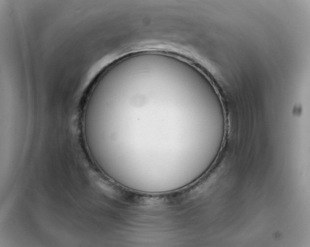 X0000101981501200808011047