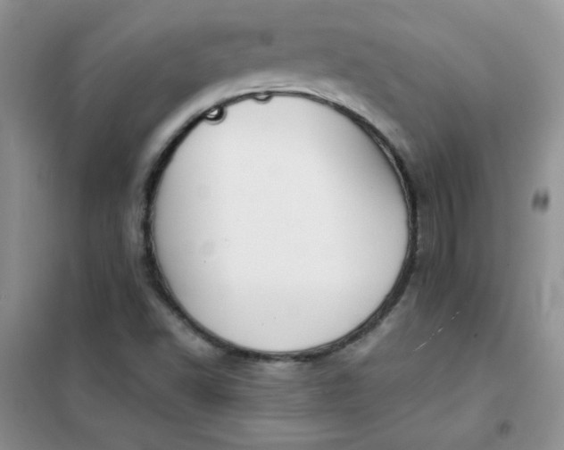 X0000101981502200808011047