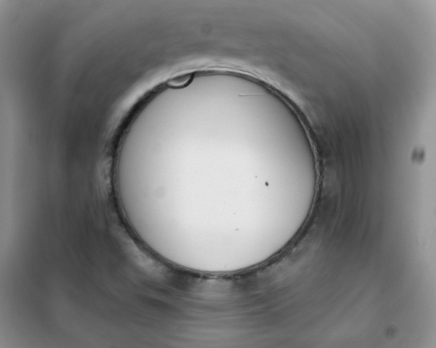 X0000101981503200808011047