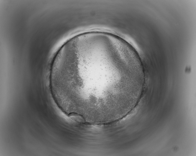 X0000101981504200808011048