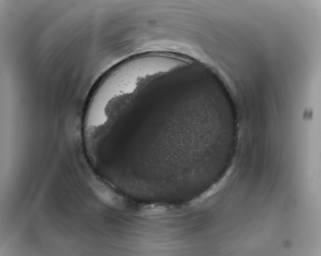 X0000101981505200808011048