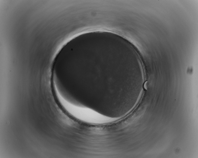 X0000101981508200808011048