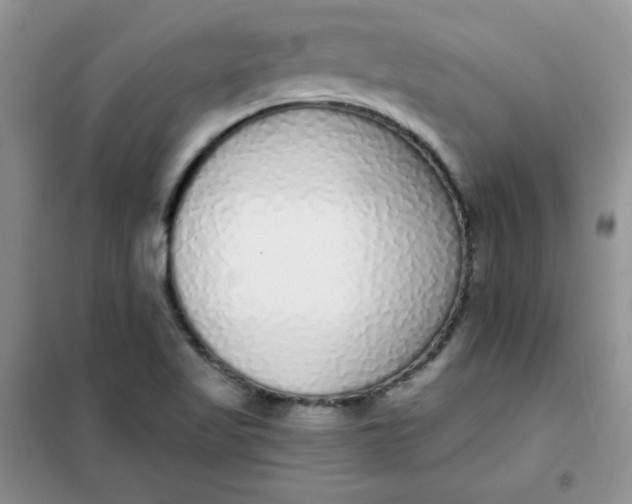 X0000101981509200808011048