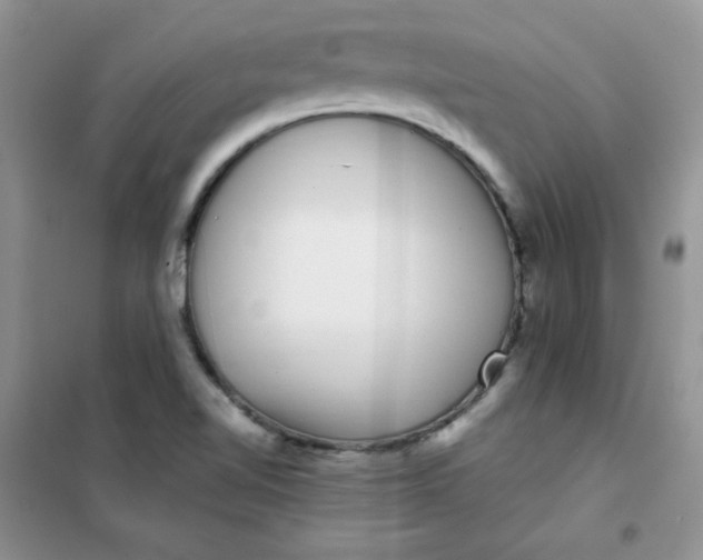 X0000101981510200808011048