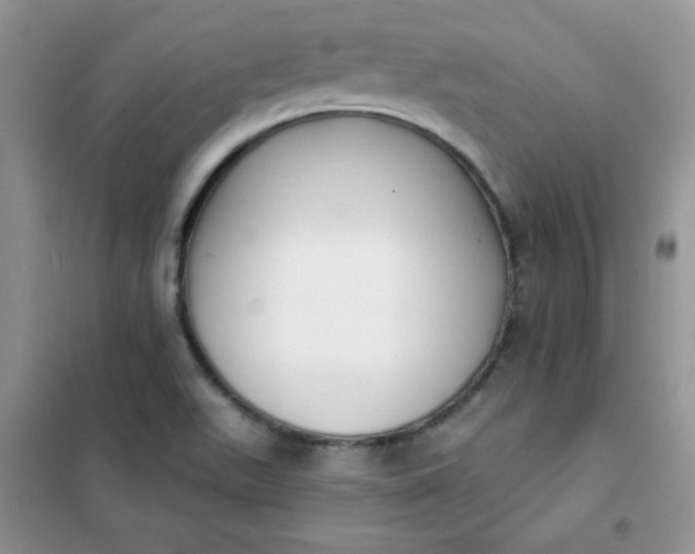 X0000101981511200808011048