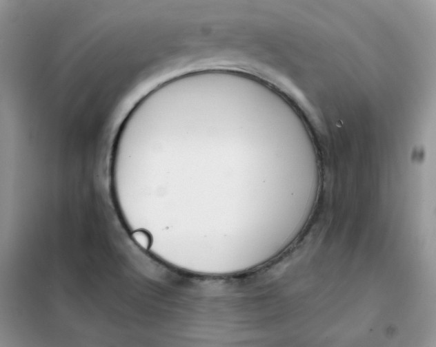 X0000101981512200808011048