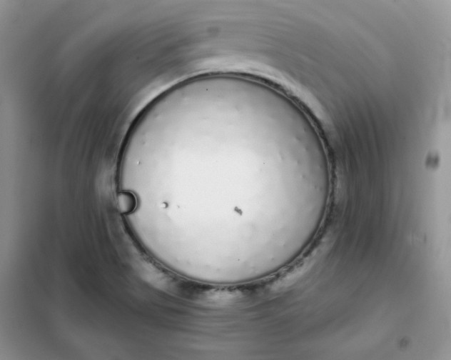 X0000101981513200808011048