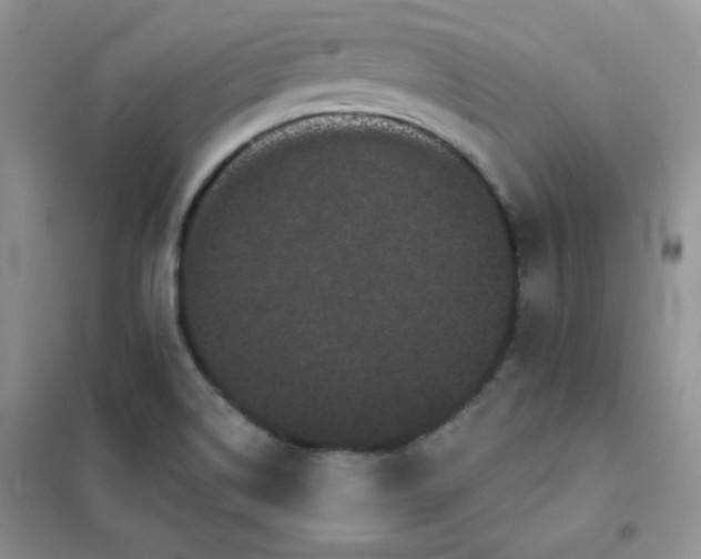 X0000101981514200808011048