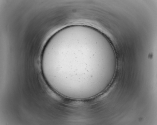 X0000101981517200808011048