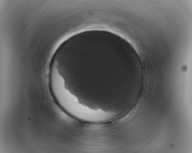 X0000101981519200808011048