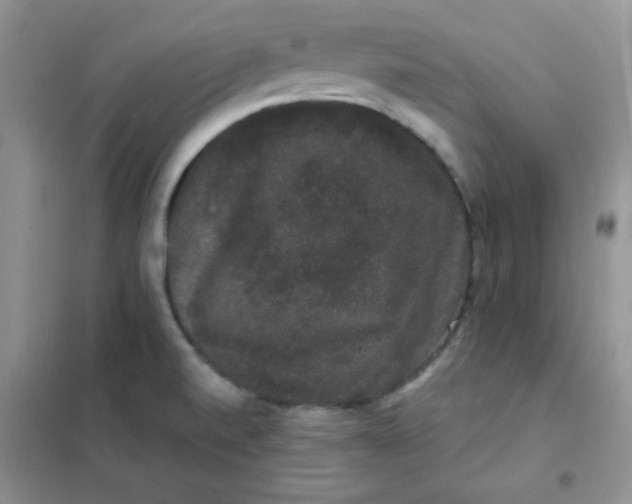 X0000101981520200808011048