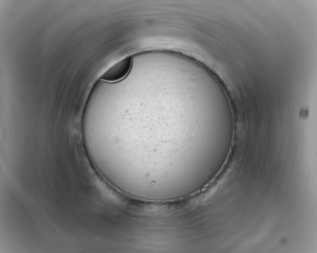 X0000101981521200808011048