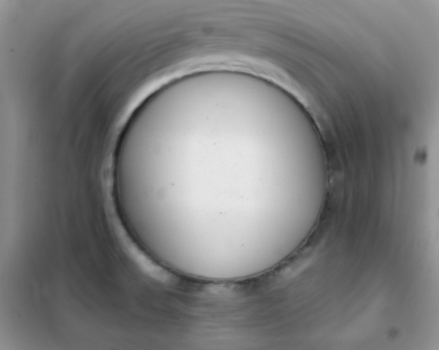 X0000101981523200808011048