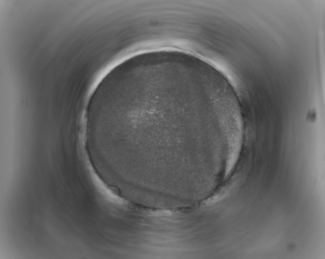 X0000101981524200808011048