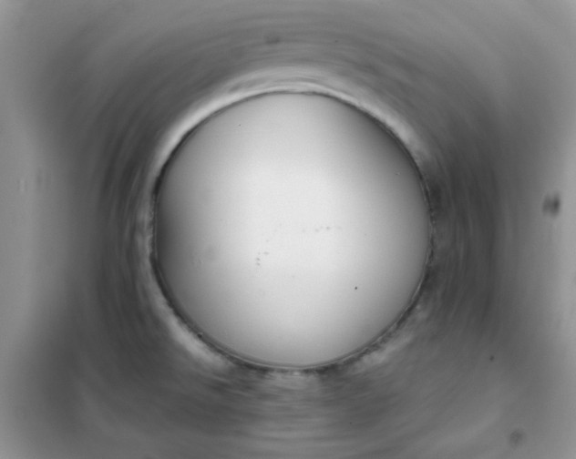 X0000101981526200808011048