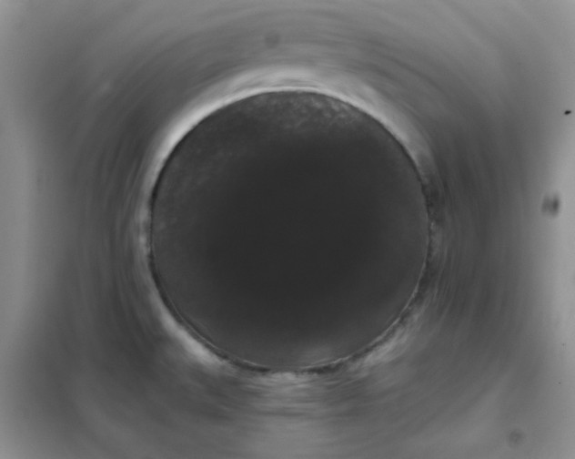 X0000101981527200808011048