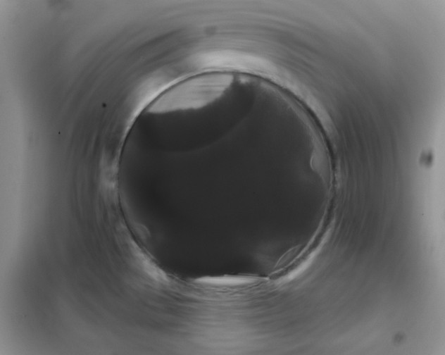 X0000101981529200808011048