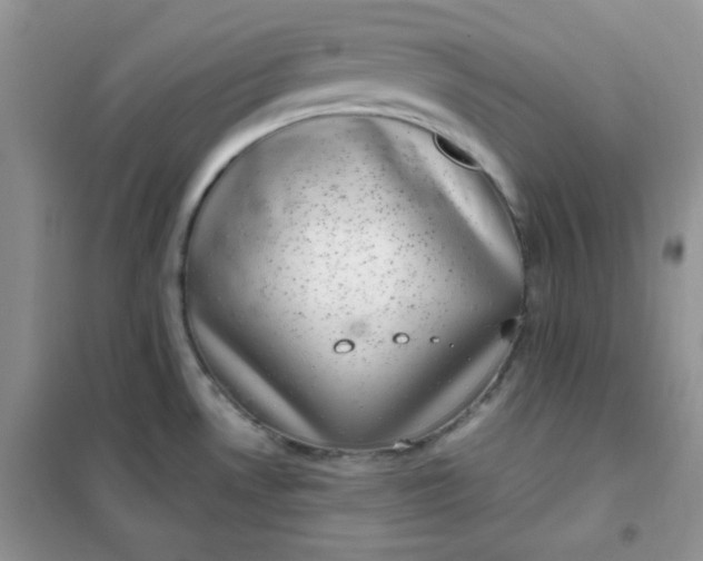 X0000101981530200808011048