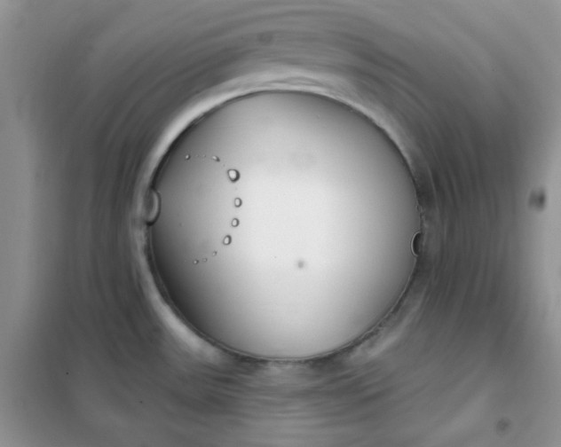 X0000101981531200808011048