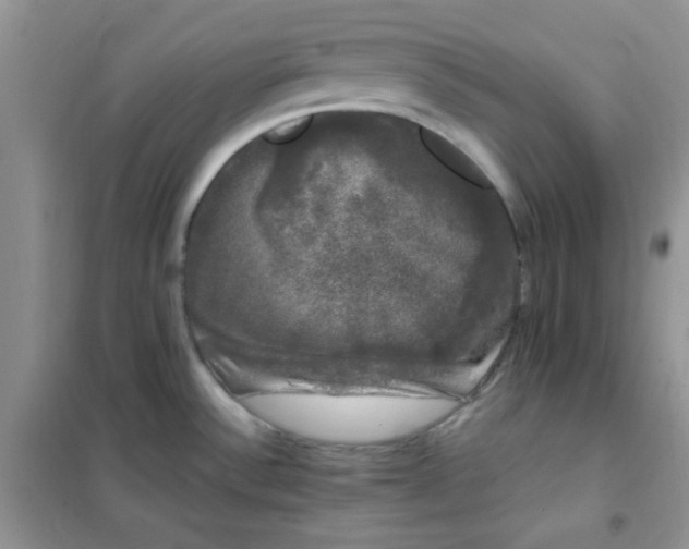 X0000101981532200808011048