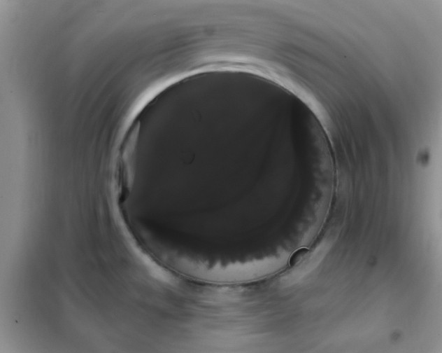 X0000101981533200808011048