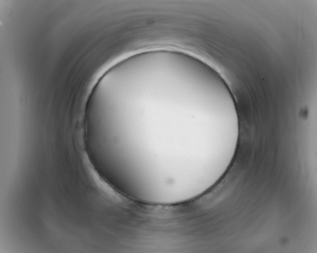 X0000101981534200808011048