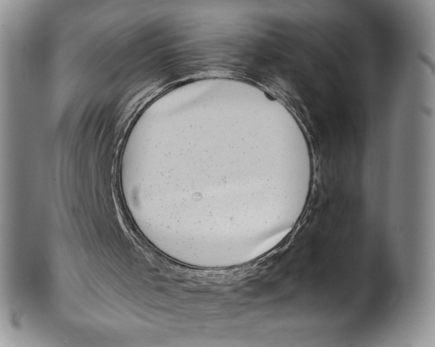 X0000101980001200808081627