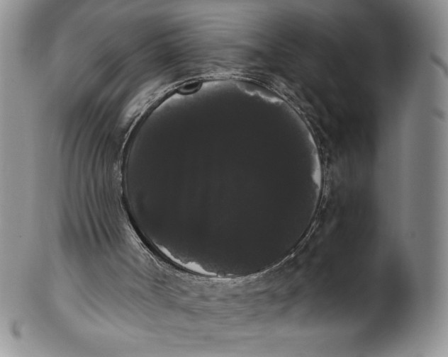 X0000101980002200808081627