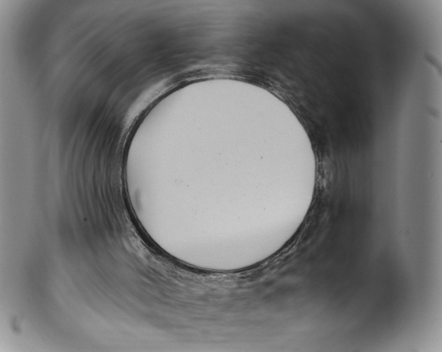 X0000101980004200808081627