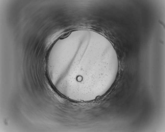 X0000101980005200808081627