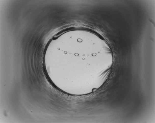 X0000101980007200808081627