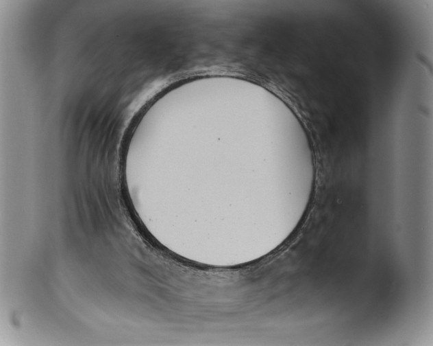 X0000101980008200808081627