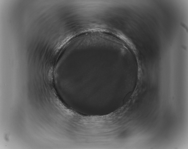 X0000101980009200808081627