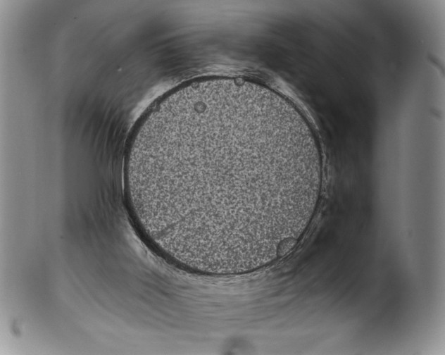 X0000101980011200808081627