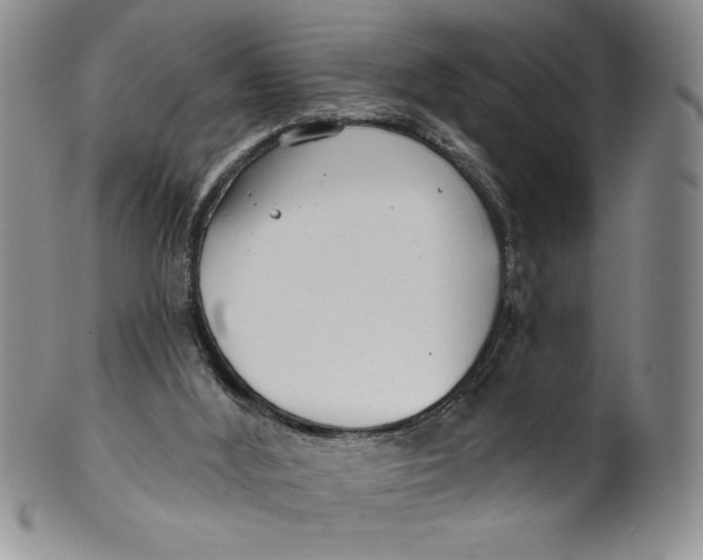 X0000101980012200808081627