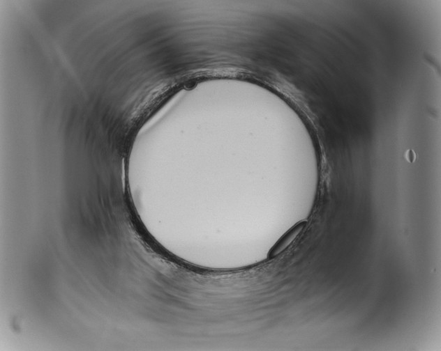 X0000101980013200808081627