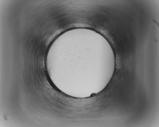 X0000101980015200808081627