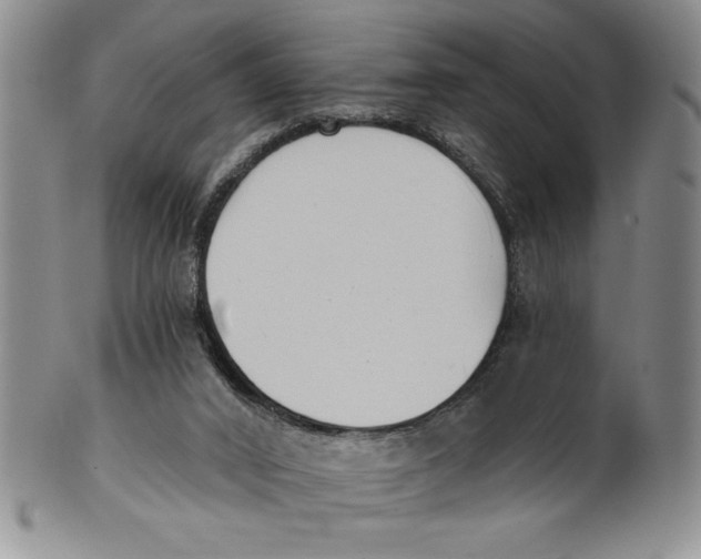 X0000101980016200808081627