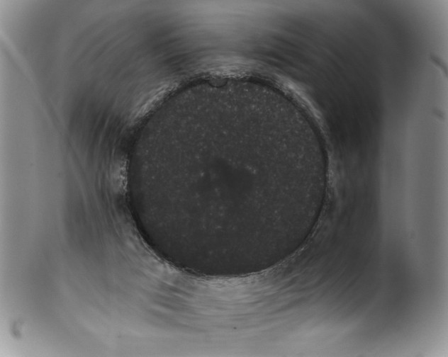 X0000101980017200808081627