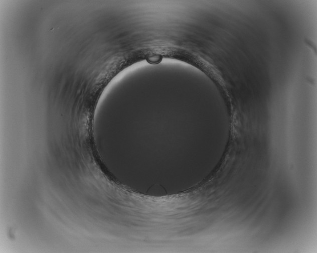 X0000101980018200808081627