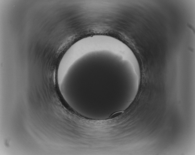 X0000101980019200808081627